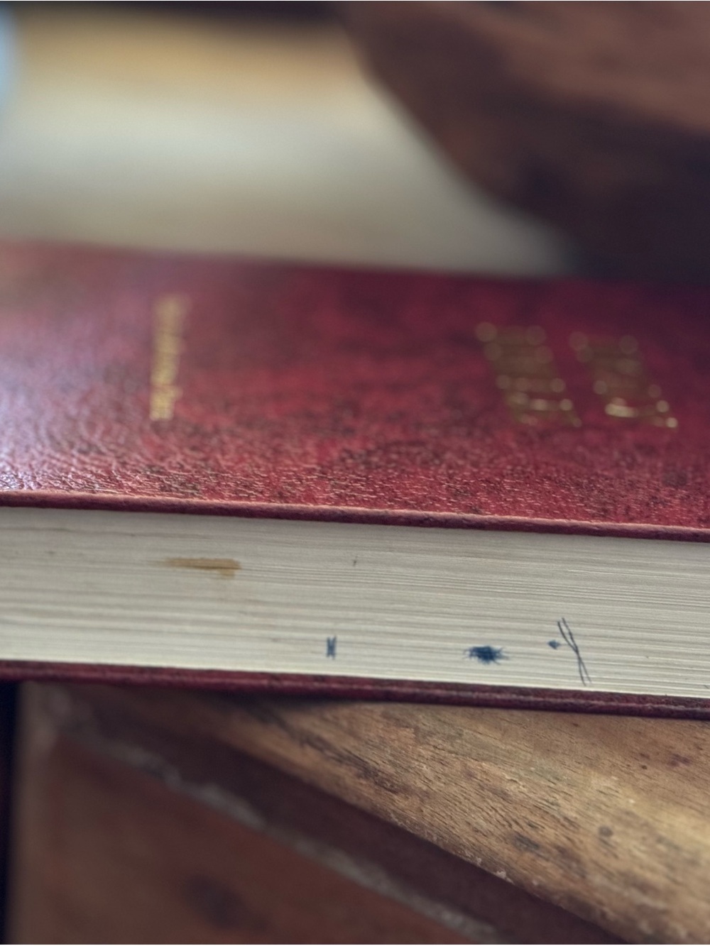 Holy Bible - The New American Bible - Picture 3 of 11